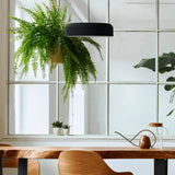 ROBIN LAMPS 🇪🇸