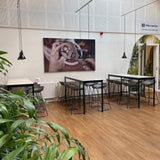 CPH LIGHTHING 🇩🇰