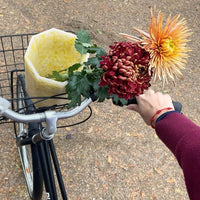 SMALL REVOLUTION 🇩🇰