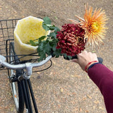 SMALL REVOLUTION 🇩🇰