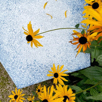 SMALL REVOLUTION 🇩🇰