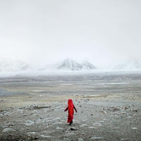 MATTHIEU PALEY 🇫🇷