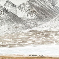 MATTHIEU PALEY 🇫🇷