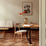 366 CONCEPT 🇵🇱