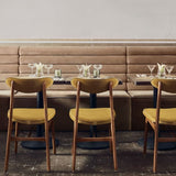 366 CONCEPT 🇵🇱