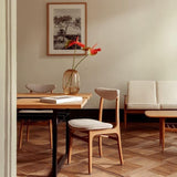 366 CONCEPT 🇵🇱